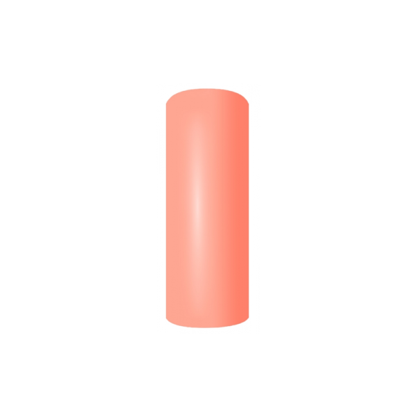 295 - immagine 2